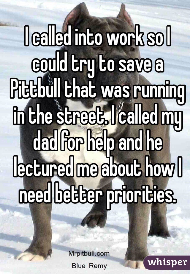 I called into work so I could try to save a Pittbull that was running in the street. I called my dad for help and he lectured me about how I need better priorities. 