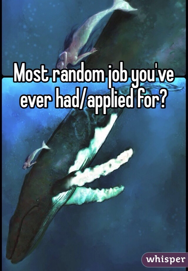 Most random job you've ever had/applied for? 