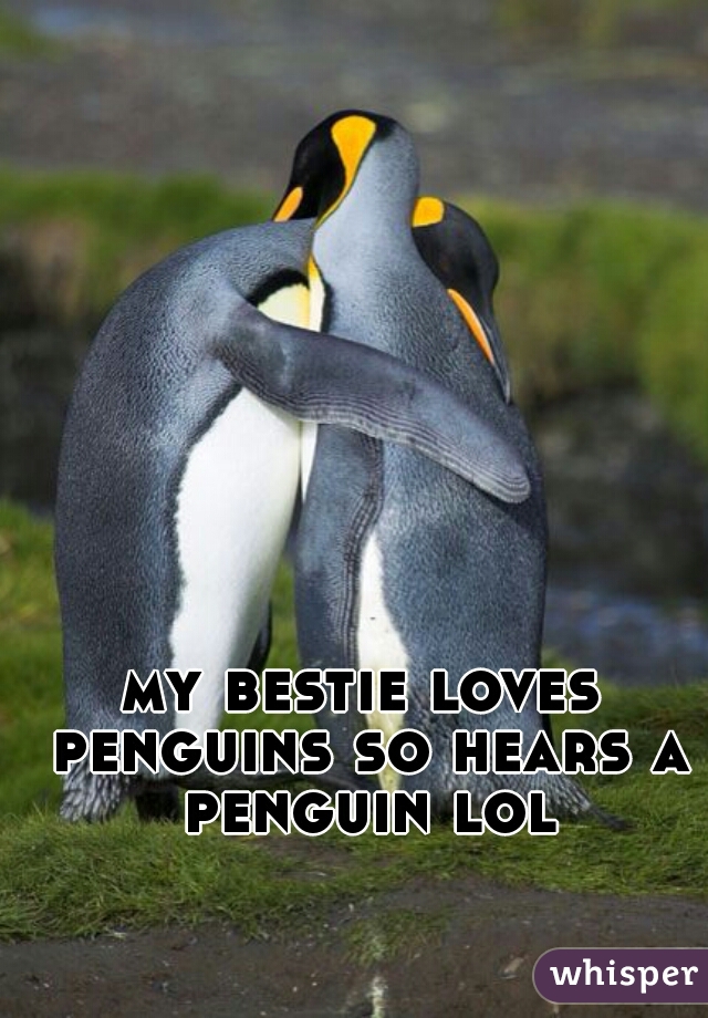 my bestie loves penguins so hears a penguin lol
