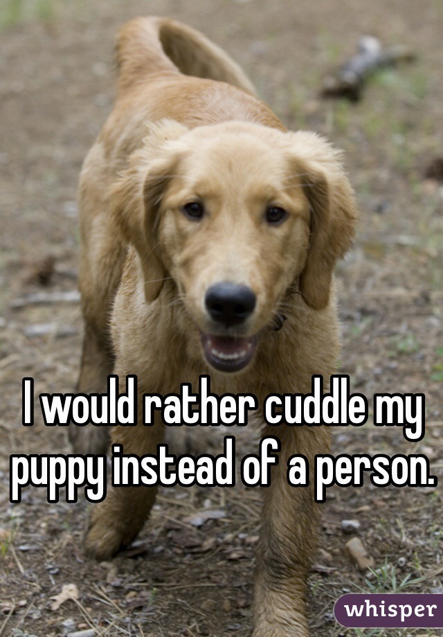I would rather cuddle my puppy instead of a person. 