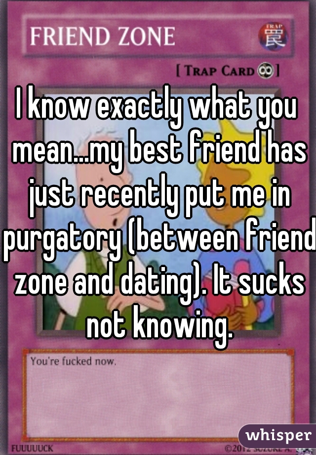 I know exactly what you mean...my best friend has just recently put me in purgatory (between friend zone and dating). It sucks not knowing.