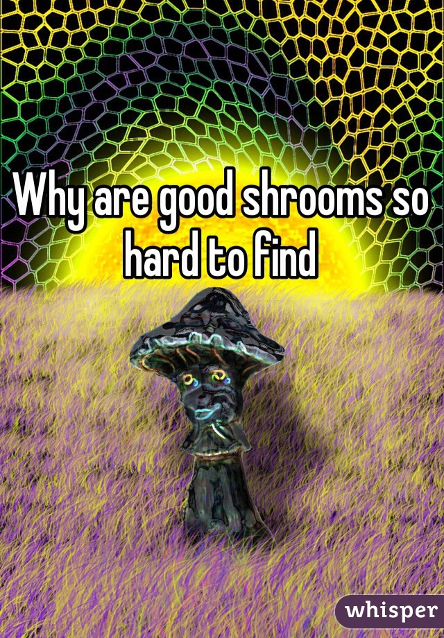 Why are good shrooms so hard to find 