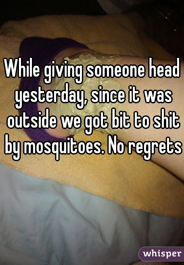 While giving someone head yesterday, since it was outside we got bit to shit by mosquitoes. No regrets