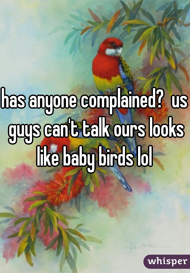 has anyone complained?  us guys can't talk ours looks like baby birds lol 