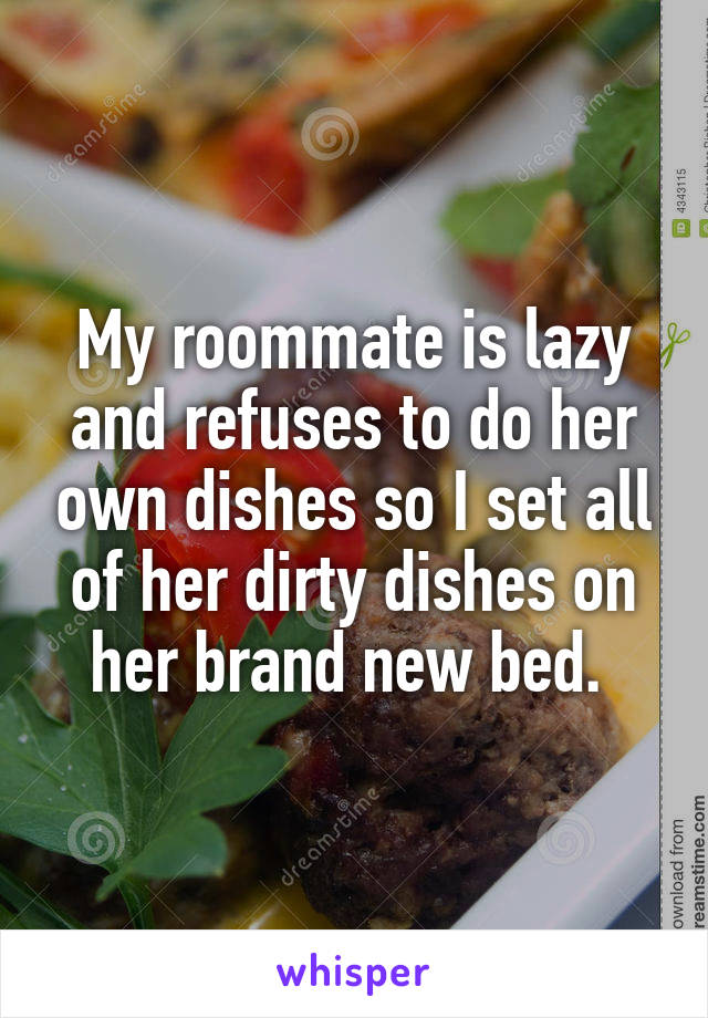 My roommate is lazy and refuses to do her own dishes so I set all of her dirty dishes on her brand new bed. 