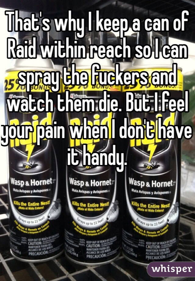 That's why I keep a can of Raid within reach so I can spray the fuckers and watch them die. But I feel your pain when I don't have it handy. 