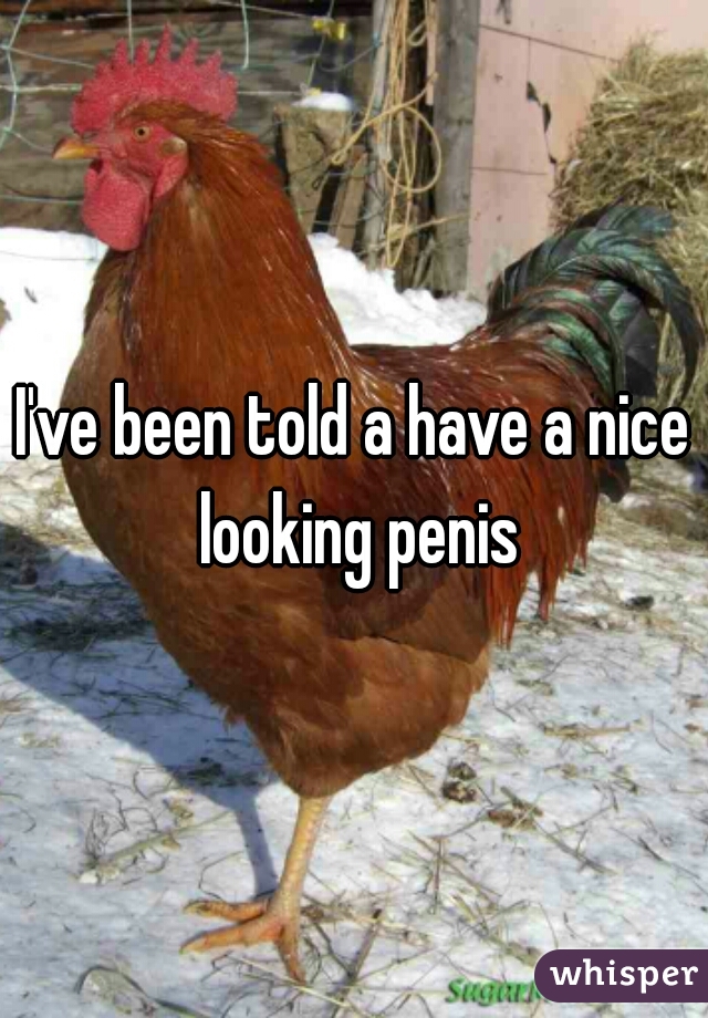 I've been told a have a nice looking penis