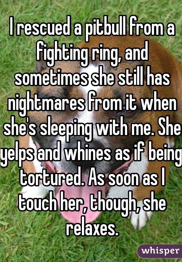 I rescued a pitbull from a fighting ring, and sometimes she still has nightmares from it when she's sleeping with me. She yelps and whines as if being tortured. As soon as I touch her, though, she relaxes.