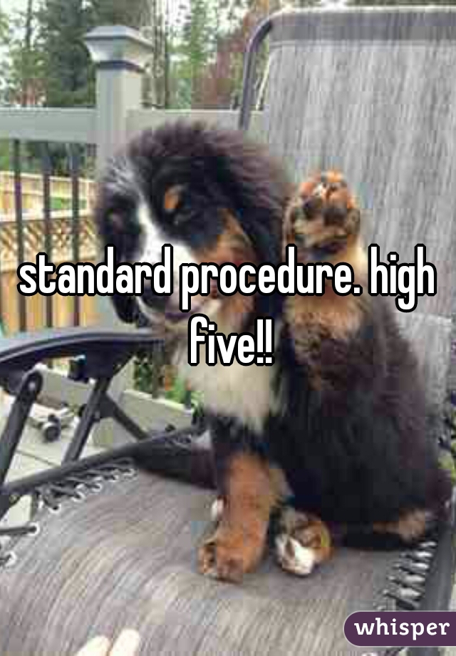 standard procedure. high five!!