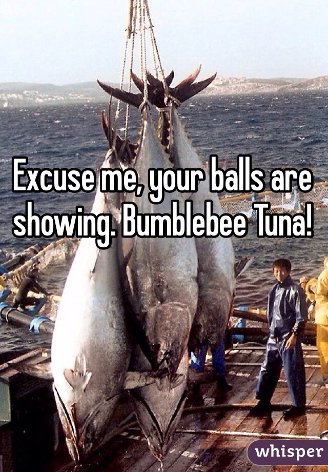 Excuse me, your balls are showing. Bumblebee Tuna!