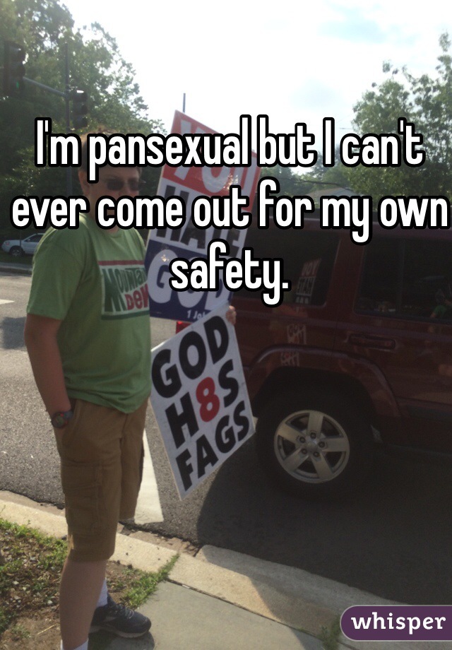 I'm pansexual but I can't ever come out for my own safety.