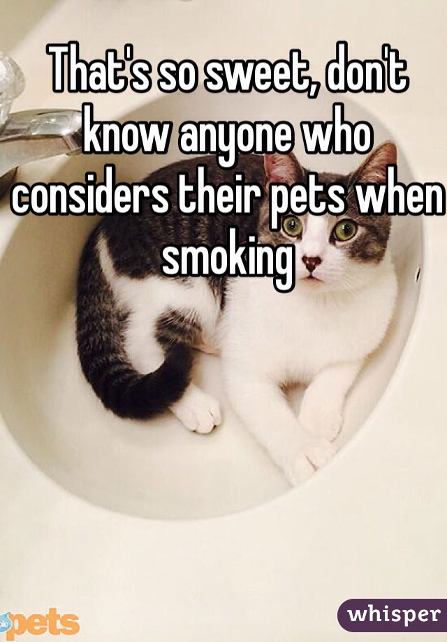 That's so sweet, don't know anyone who considers their pets when smoking