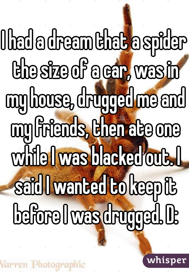 I had a dream that a spider the size of a car, was in my house, drugged me and my friends, then ate one while I was blacked out. I said I wanted to keep it before I was drugged. D: