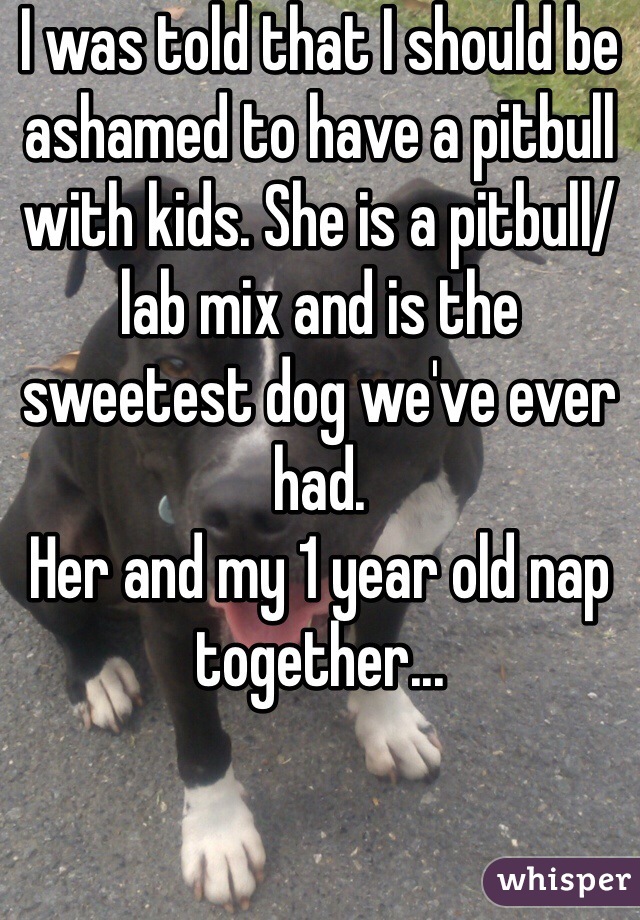 I was told that I should be ashamed to have a pitbull with kids. She is a pitbull/lab mix and is the sweetest dog we've ever had.
Her and my 1 year old nap together...