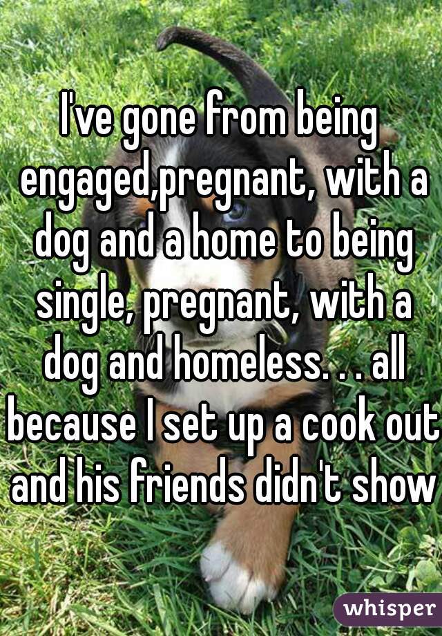 I've gone from being engaged,pregnant, with a dog and a home to being single, pregnant, with a dog and homeless. . . all because I set up a cook out and his friends didn't show 