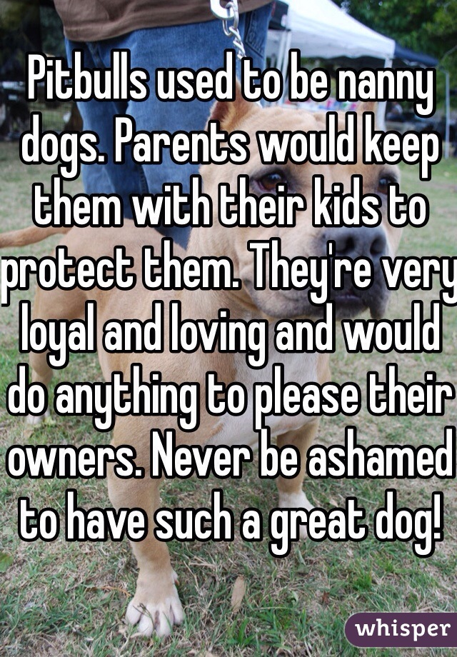 Pitbulls used to be nanny dogs. Parents would keep them with their kids to protect them. They're very loyal and loving and would do anything to please their owners. Never be ashamed to have such a great dog!