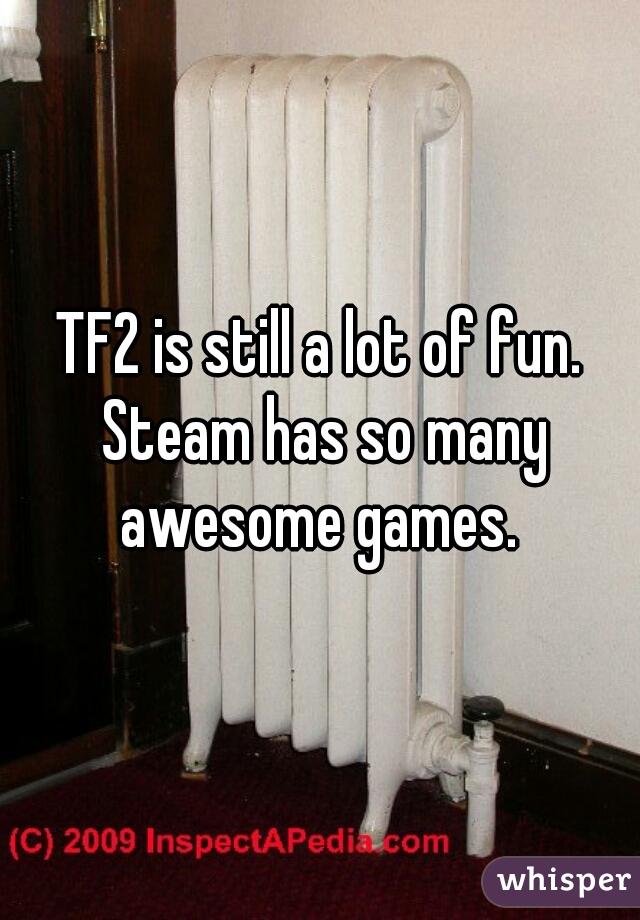 TF2 is still a lot of fun. Steam has so many awesome games. 