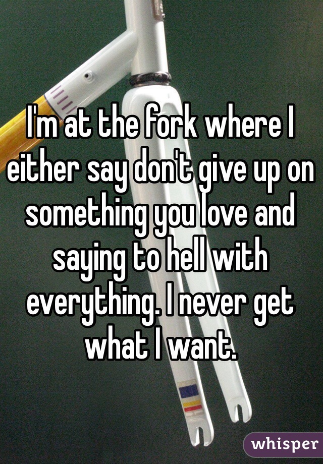 I'm at the fork where I either say don't give up on something you love and saying to hell with everything. I never get what I want. 