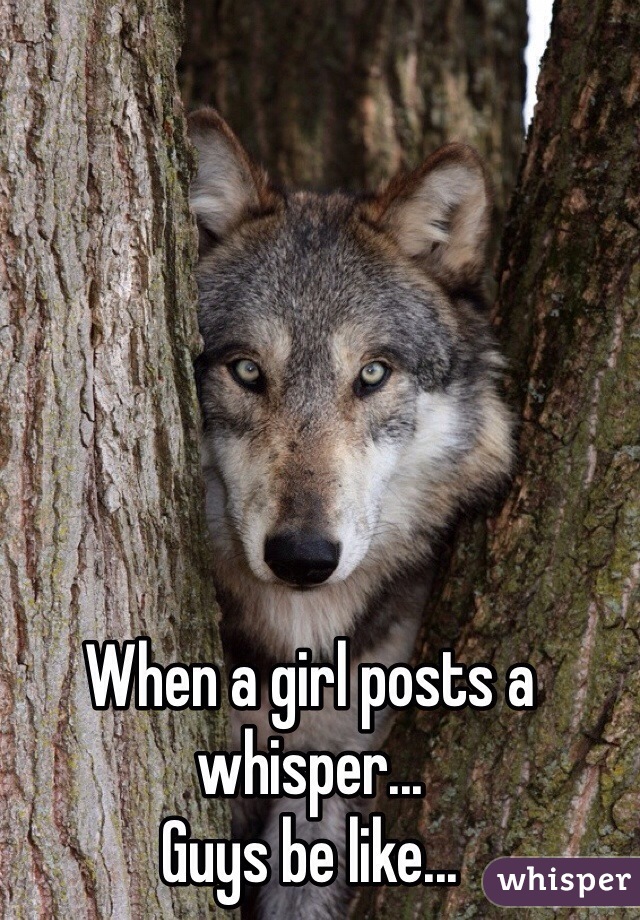 When a girl posts a whisper...
Guys be like...