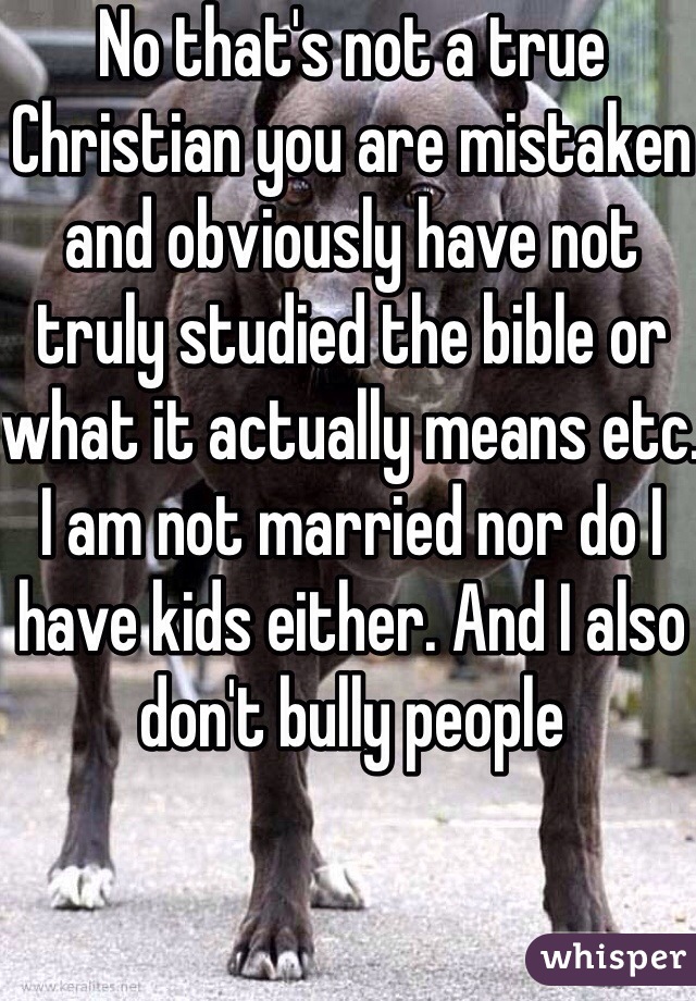 No that's not a true Christian you are mistaken and obviously have not truly studied the bible or what it actually means etc. I am not married nor do I have kids either. And I also don't bully people 