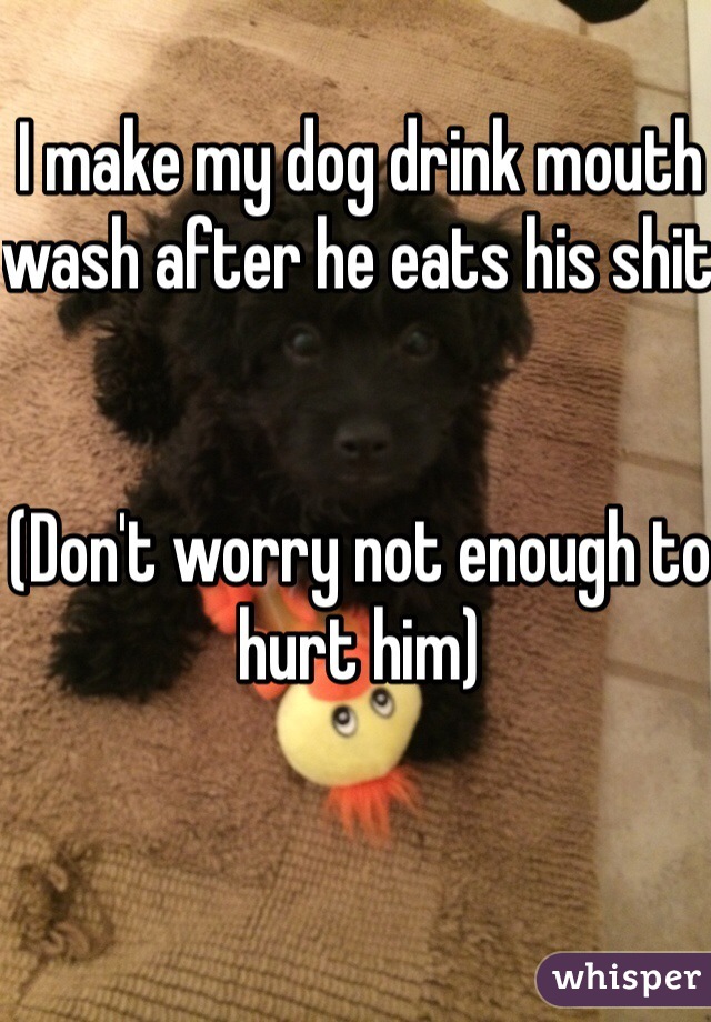 I make my dog drink mouth wash after he eats his shit 


(Don't worry not enough to hurt him) 