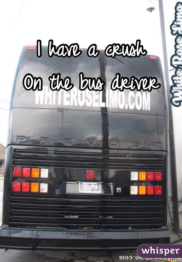 I have a crush
On the bus driver
