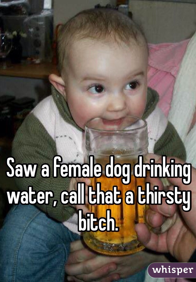 Saw a female dog drinking water, call that a thirsty bitch. 