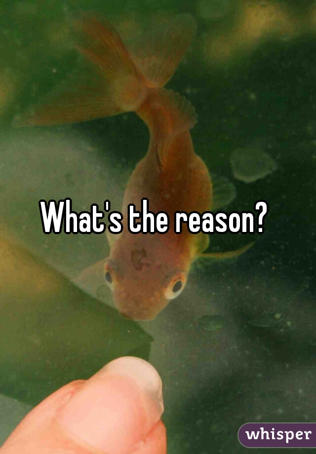 What's the reason? 