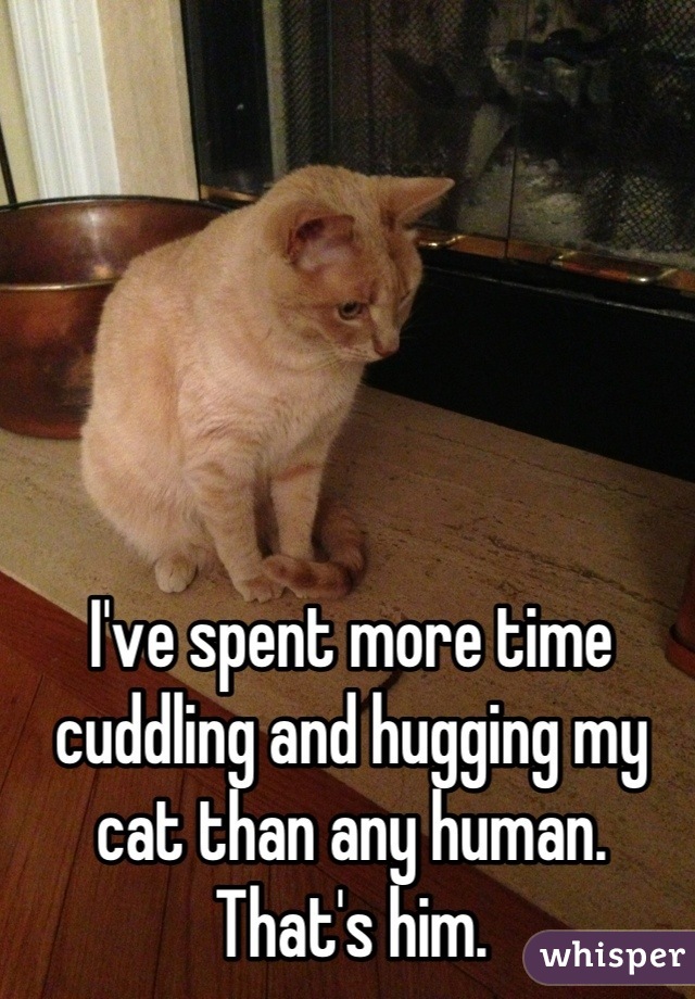 I've spent more time cuddling and hugging my cat than any human.
That's him.