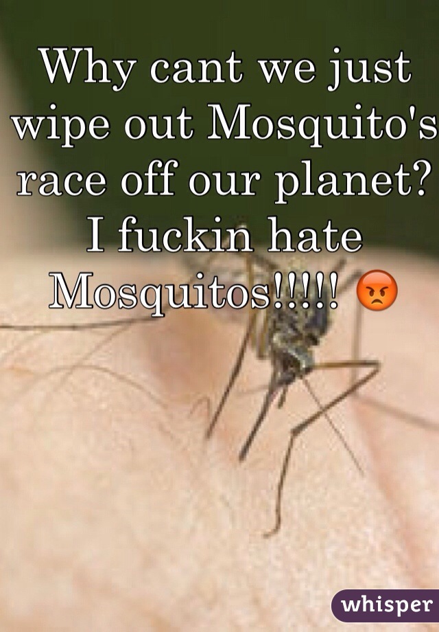 Why cant we just wipe out Mosquito's race off our planet? I fuckin hate Mosquitos!!!!! 😡
