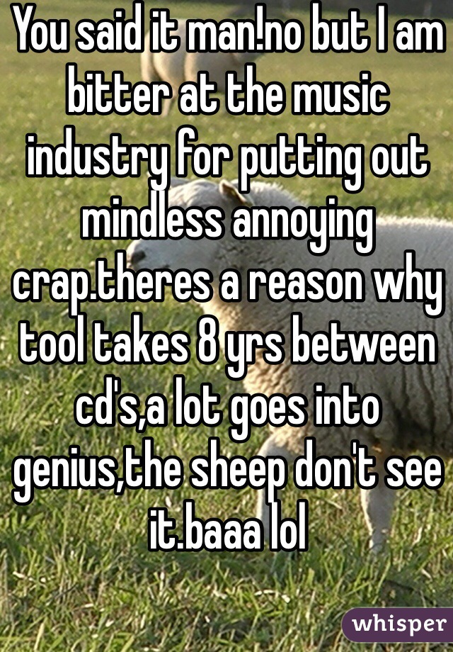 You said it man!no but I am bitter at the music industry for putting out mindless annoying crap.theres a reason why tool takes 8 yrs between cd's,a lot goes into genius,the sheep don't see it.baaa lol