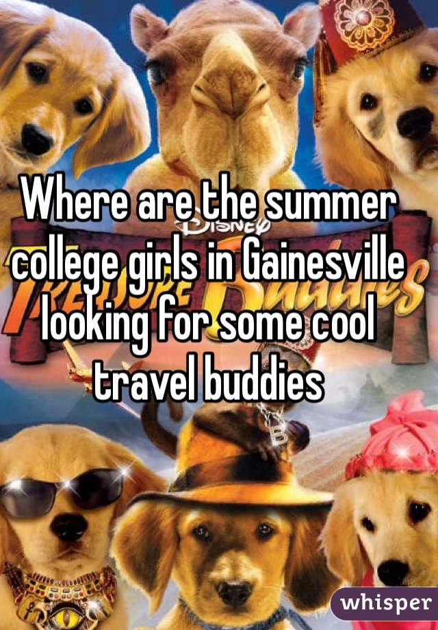 Where are the summer college girls in Gainesville looking for some cool travel buddies