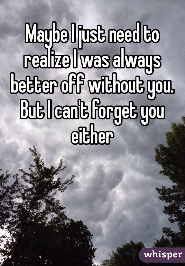 Maybe I just need to realize I was always better off without you. But I can't forget you either 