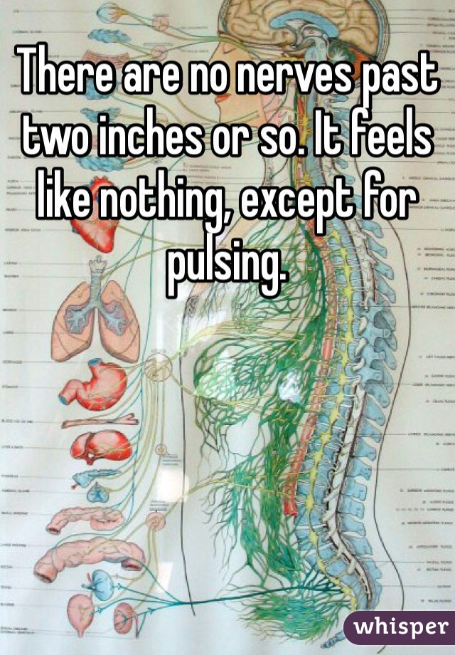 There are no nerves past two inches or so. It feels like nothing, except for pulsing. 