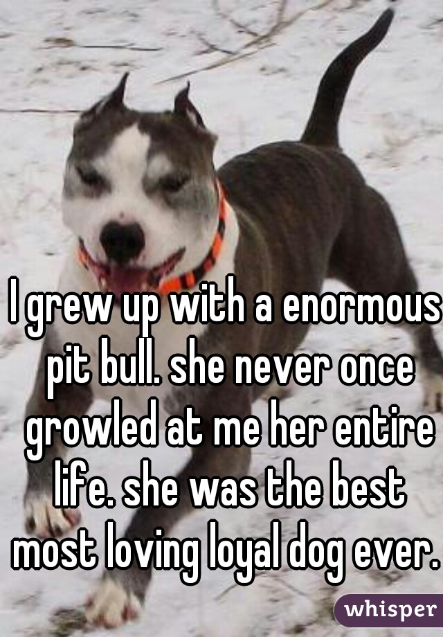 I grew up with a enormous pit bull. she never once growled at me her entire life. she was the best most loving loyal dog ever. 