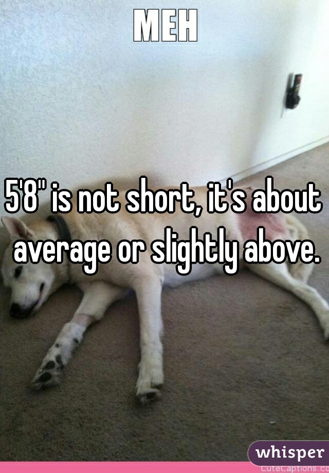 5'8" is not short, it's about average or slightly above.