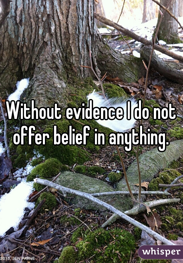 Without evidence I do not offer belief in anything. 