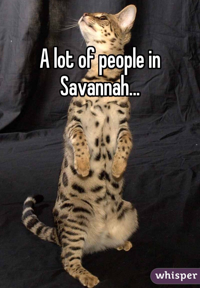 A lot of people in Savannah...