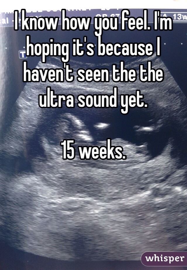 I know how you feel. I'm hoping it's because I haven't seen the the  ultra sound yet.

15 weeks.