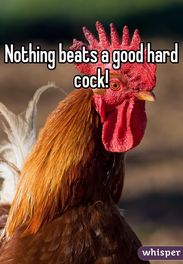 Nothing beats a good hard cock!