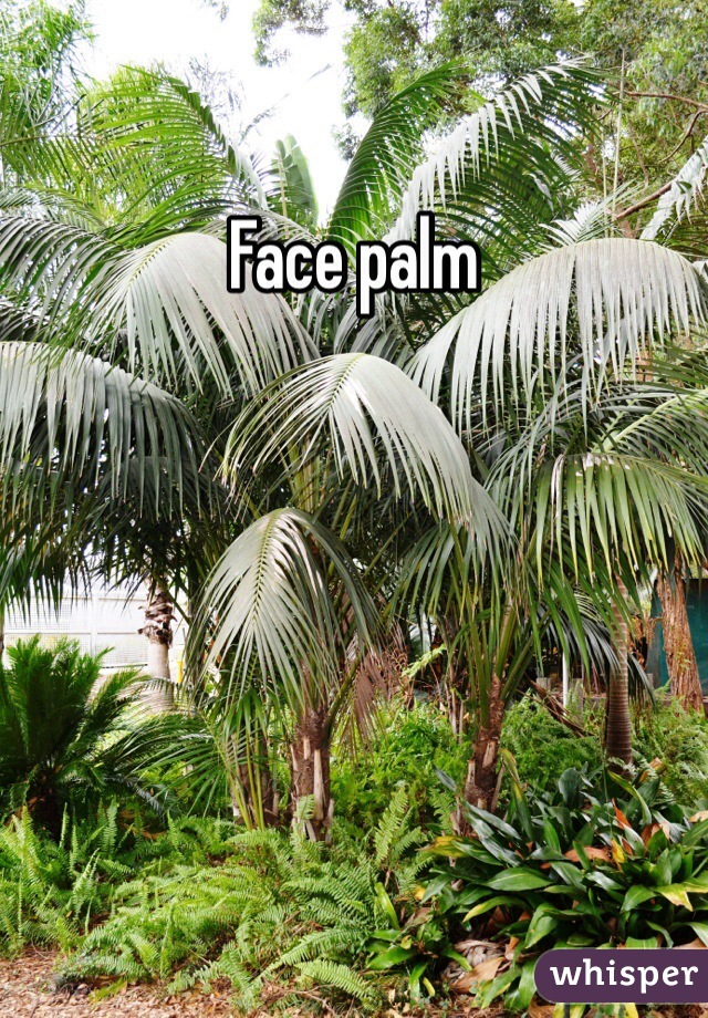 Face palm 