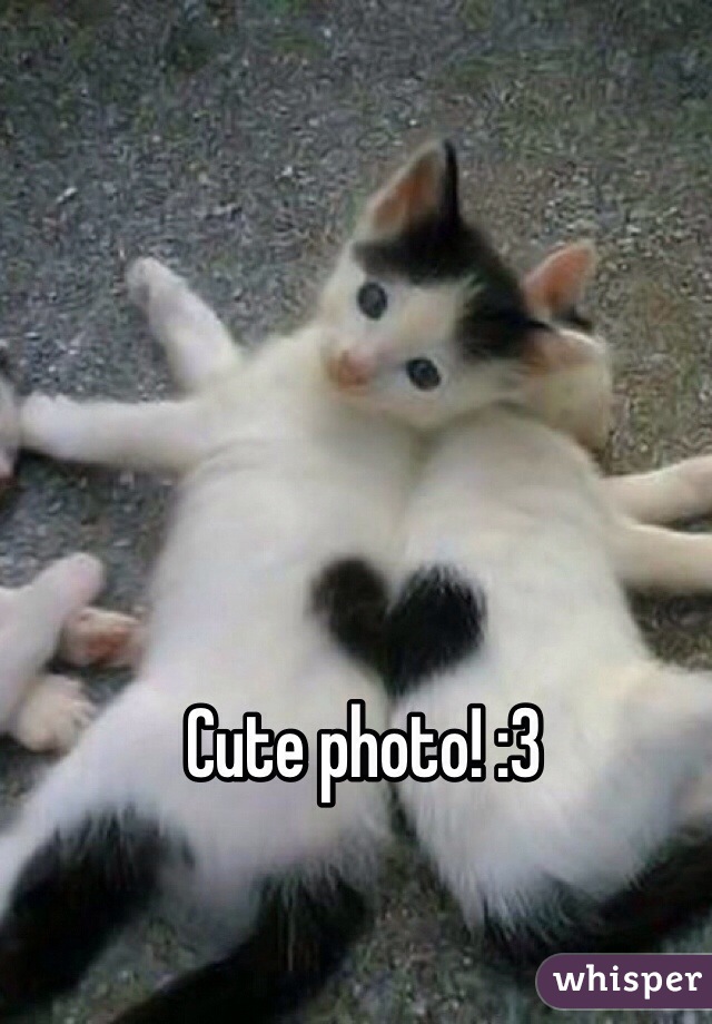 Cute photo! :3