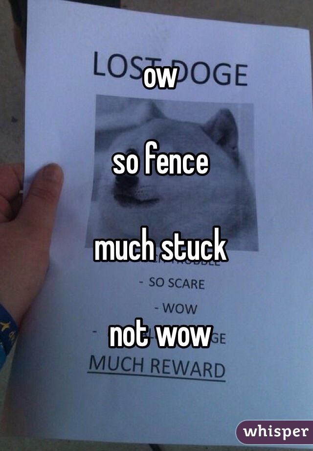 ow

so fence

much stuck

not wow