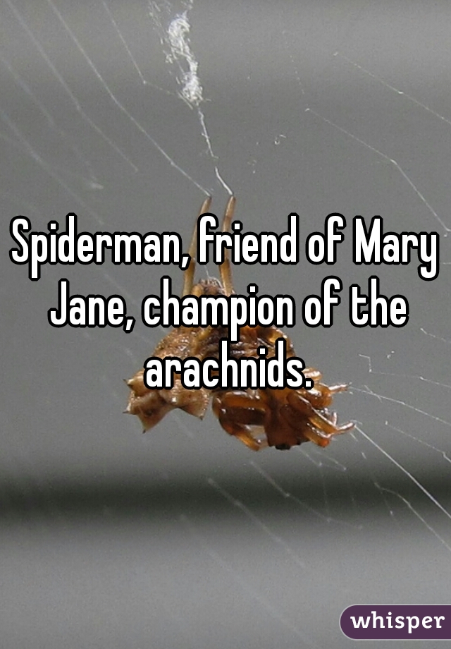 Spiderman, friend of Mary Jane, champion of the arachnids.