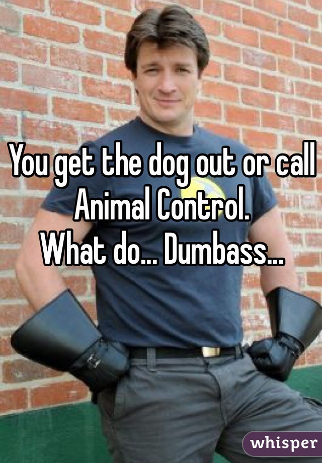 You get the dog out or call Animal Control. 
What do... Dumbass...