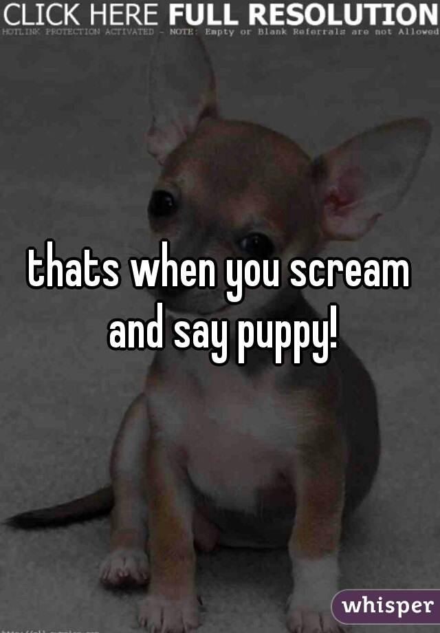 thats when you scream and say puppy!