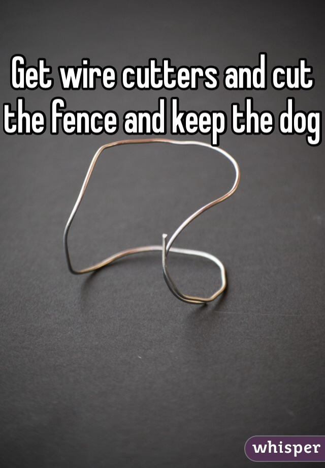 Get wire cutters and cut the fence and keep the dog