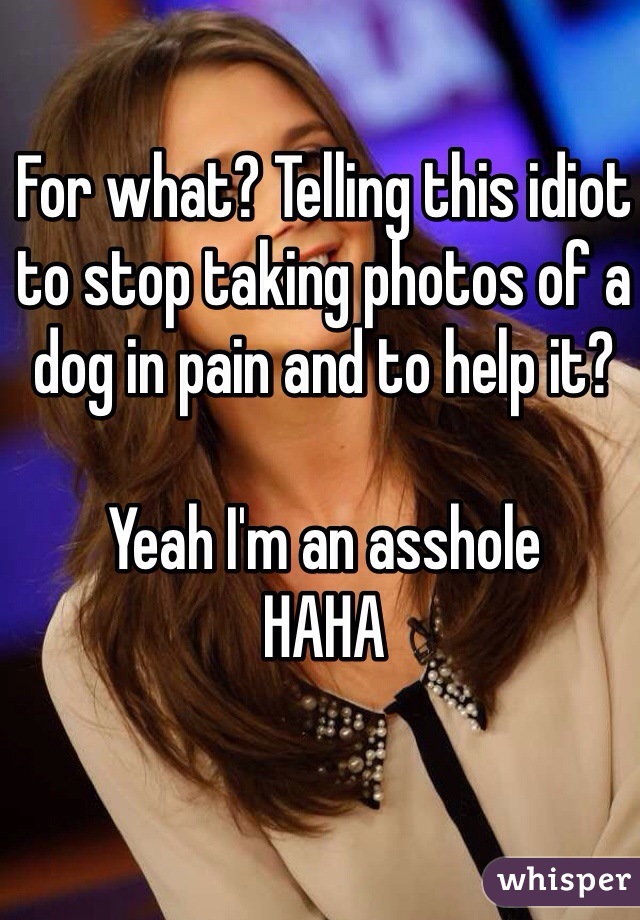 For what? Telling this idiot to stop taking photos of a dog in pain and to help it? 

Yeah I'm an asshole 
HAHA