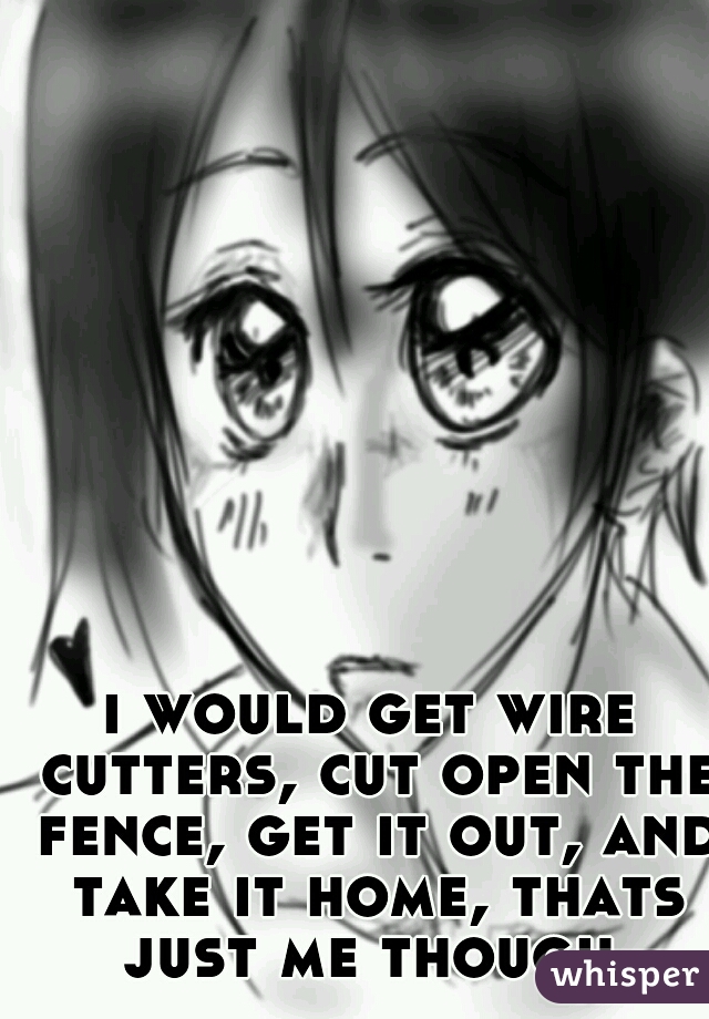 i would get wire cutters, cut open the fence, get it out, and take it home, thats just me though.