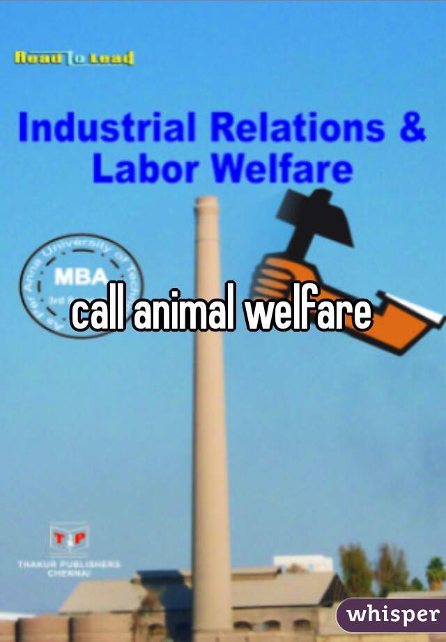 call animal welfare